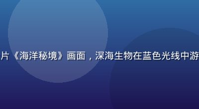 草莓视频4K超清纪录片《海洋秘境》画面，深海生物在蓝色光线中游弋，画面震撼细节丰富